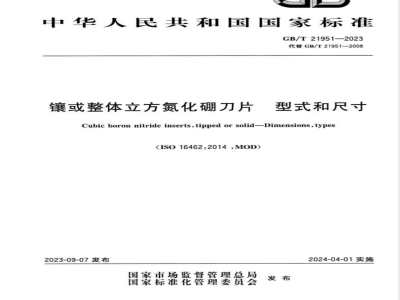 GB/T 21951-2023镶或整体立方氮化硼刀片 型式和尺寸 