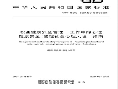GB/T 45003-2024职业健康安全管理 工作中的心理健康安全：管理社会心理风险 指南 
