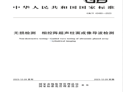 GB/T 43480-2023无损检测 相控阵超声柱面成像导波检测 
