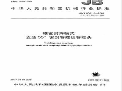 JB/T 6381.3-2007 锥密封焊接式 直通55°密封管螺纹管接头