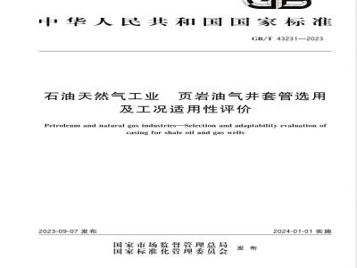 GB/T 43231-2023石油天然气工业 页岩油气井套管选用及工况适用性评价 