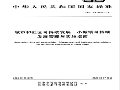 GB/T 43155-2023城市和社区可持续发展 小城镇可持续发展管理与实施指南 