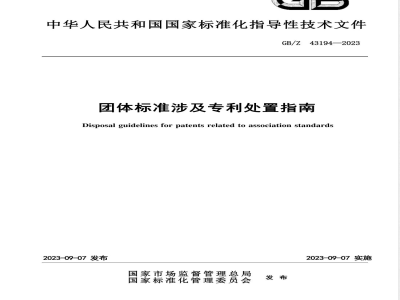 GB/Z 43194-2023团体标准涉及专利处置指南 