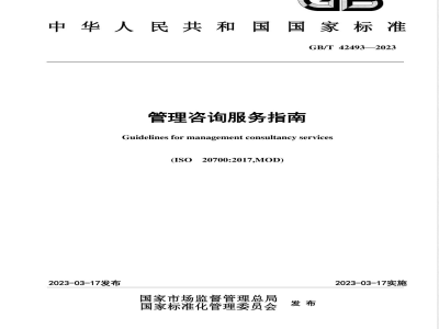 GB/T 42493-2023管理咨询服务指南 