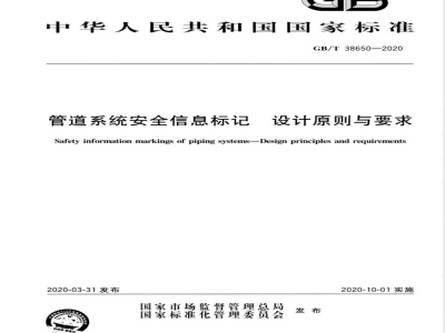 GB/T 38650-2020管道系统安全信息标记 设计原则与要求 