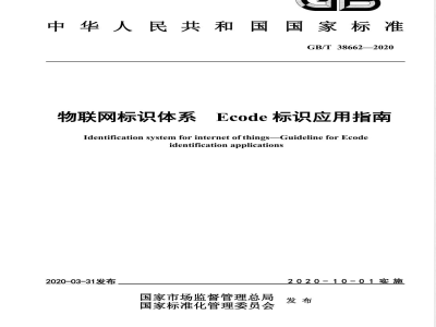 GB/T 38662-2020物联网标识体系 Ecode标识应用指南 