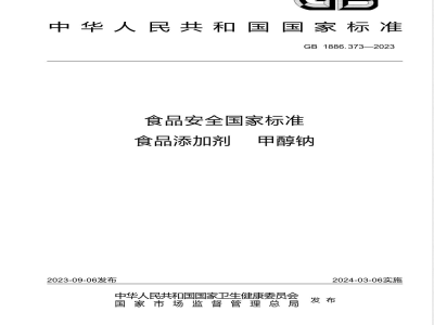GB 1886.373-2023食品安全国家标准 食品添加剂 甲醇钠 