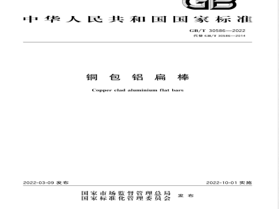 GB/T 30586-2022铜包铝扁棒 
