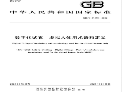 GB/T 41419-2022数字化试衣 虚拟人体用术语和定义 