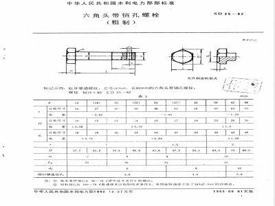 SD 25-1982 六角头带销孔螺栓(粗制)