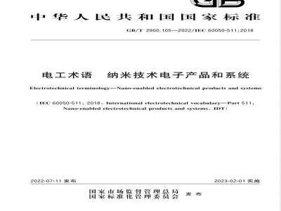 GB/T 2900.105-2022电工术语 纳米技术电子产品和系统 
