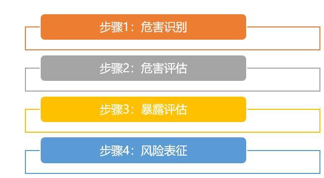 风险评估 风险评估