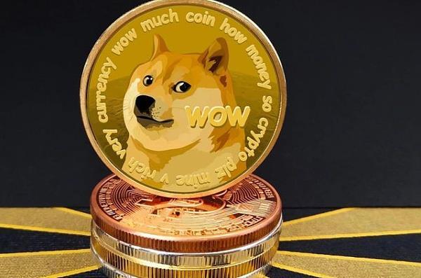 DOGE DOGE
