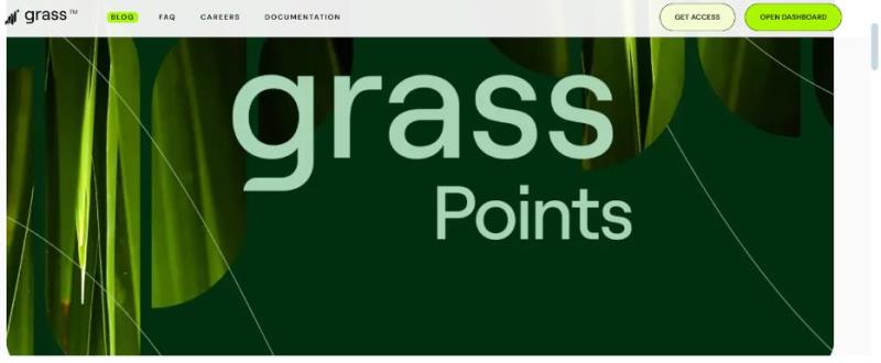 GRASS代币 GRASS代币