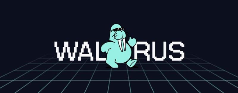 Walrus Walrus