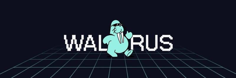 Walrus 合作积分 Walrus 合作积分