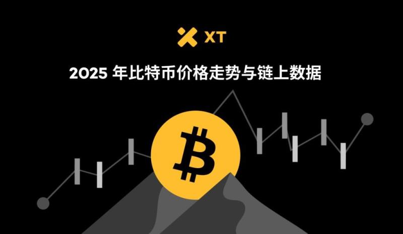 链上活跃度 链上活跃度