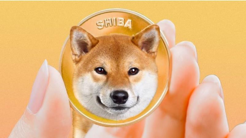 SHIB SHIB