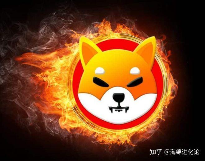 SHIB燃烧