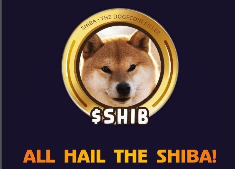 SHIBOSHIS SHIBOSHIS