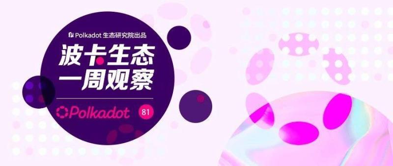 波卡社区治理