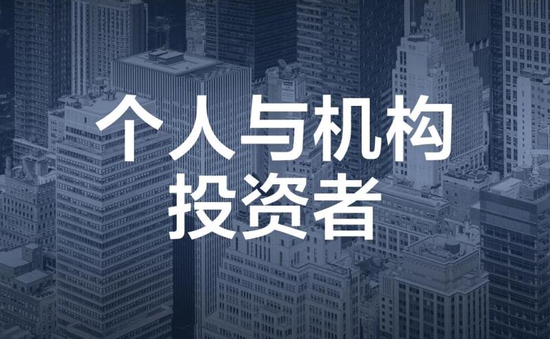 机构投资者