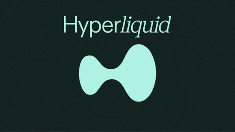 什么是 HYPE 币？全面解释 Hyperliquid 与 HYPE