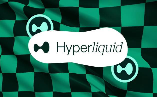 2025 年 HYPE 价格前景与投资策略（面向中短线与长线）