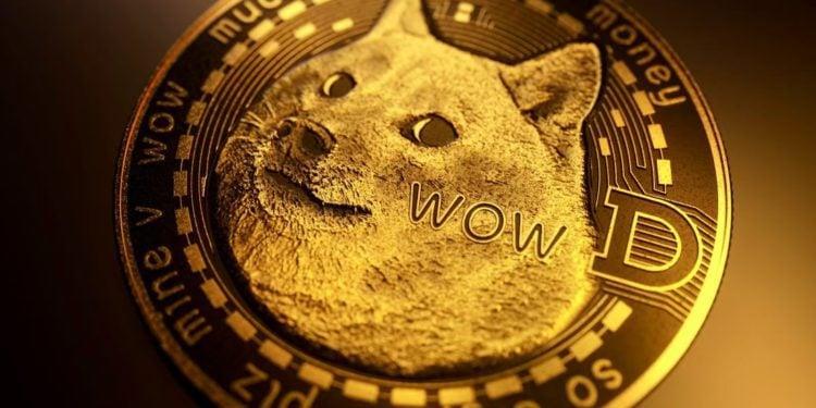 什么是狗狗币储备（House of Doge）及其对市场的影-狗狗币储备