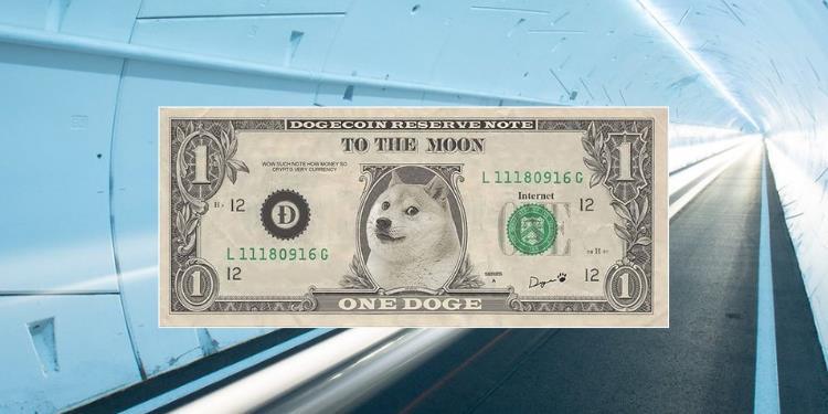 什么是狗狗币储备（House of Doge）及其对市场的影- DOGE支付基础设施