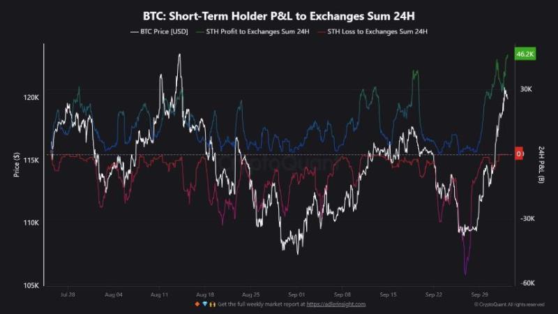 链上数据与鲸鱼行为解析：XRP 大额转账及交易所流入流出趋势- 交易所流入