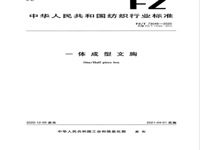 FZ/T 73046-2020一体成型文胸 