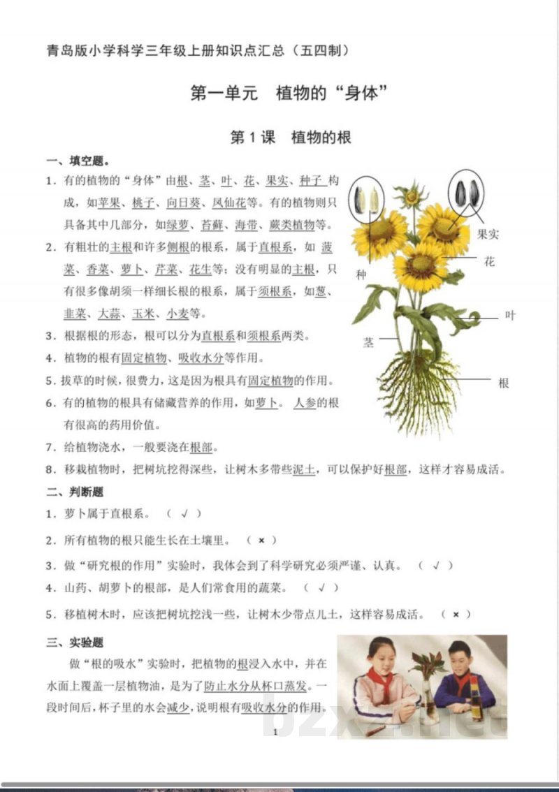 青岛版小学科学三年级上册知识点汇总(五四制)