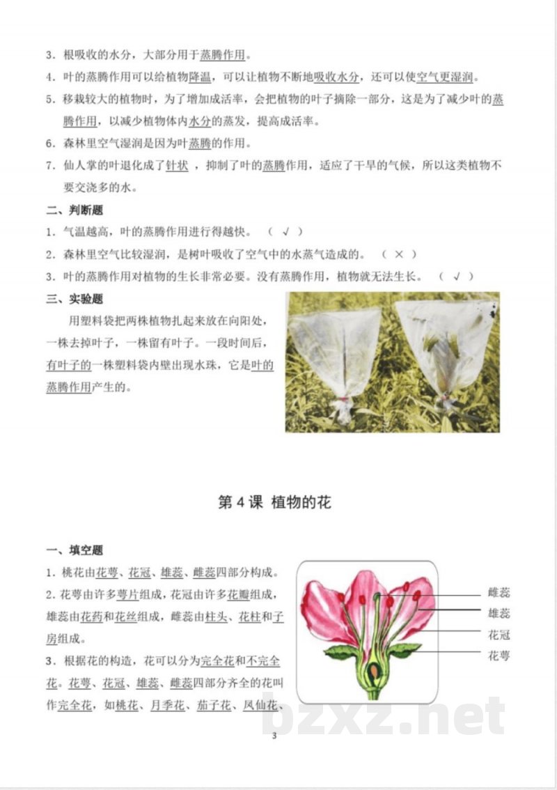 青岛版小学科学三年级上册知识点汇总(五四制)