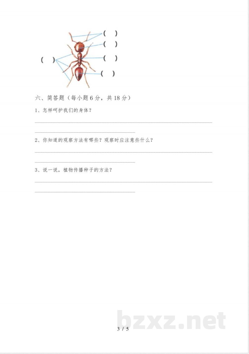 教科版三年级科学(下册)期中试题(附答案)
