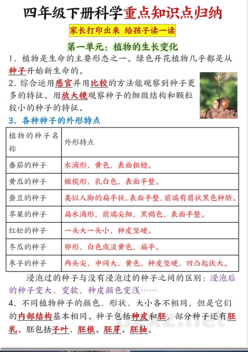 四年级下册科学重点知识点归纳