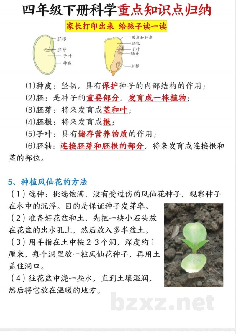 四年级下册科学重点知识点归纳