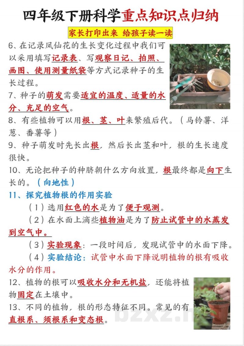 四年级下册科学重点知识点归纳