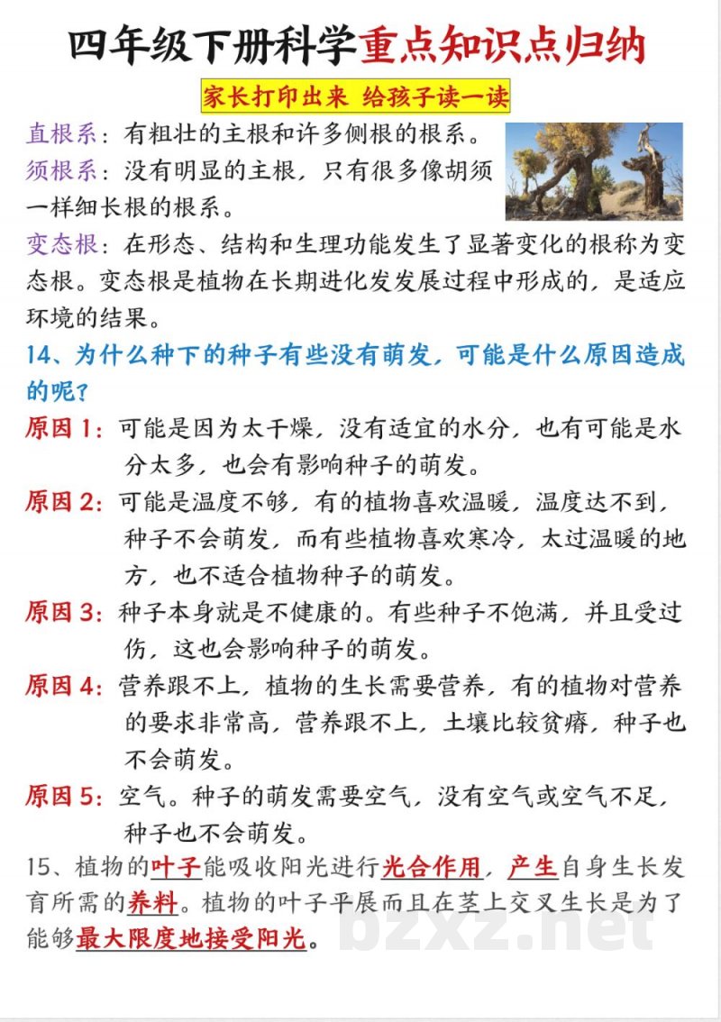 四年级下册科学重点知识点归纳