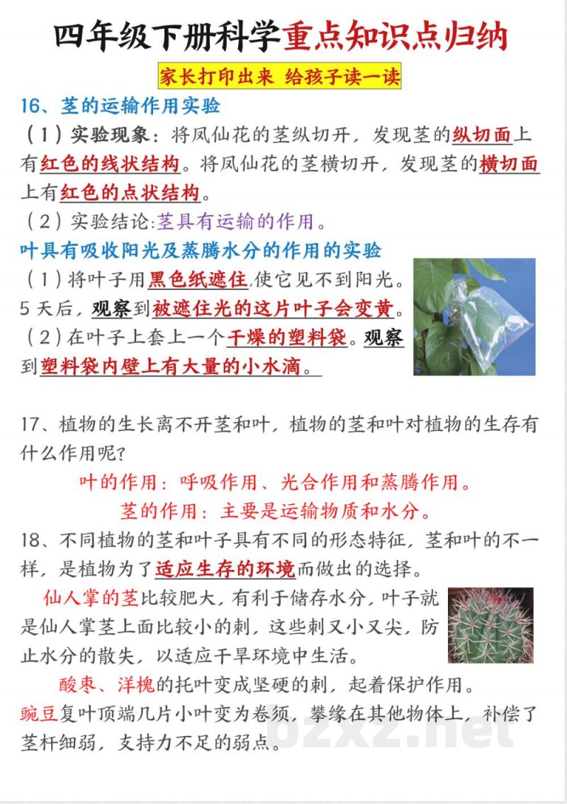 四年级下册科学重点知识点归纳