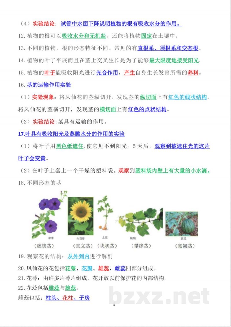 2025年新改版教科版四年级下册科学知识点梳理（单元版）