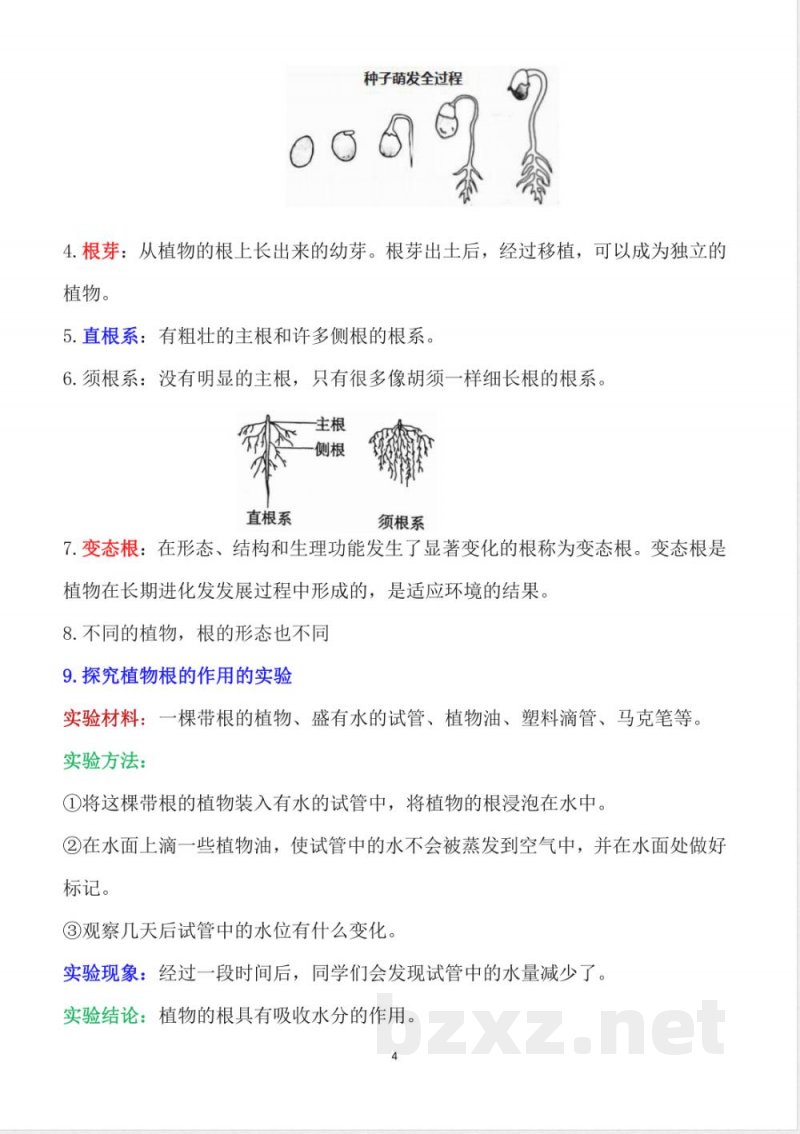 2025年新改版教科版科学四年级下册全册知识点（重点版）