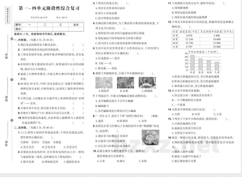 科学六年级下册（教科版）期末综合练习（含答案）