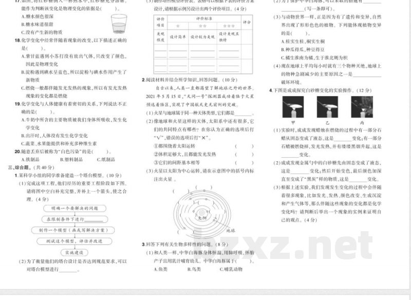 科学六年级下册（教科版）期末综合练习（含答案）