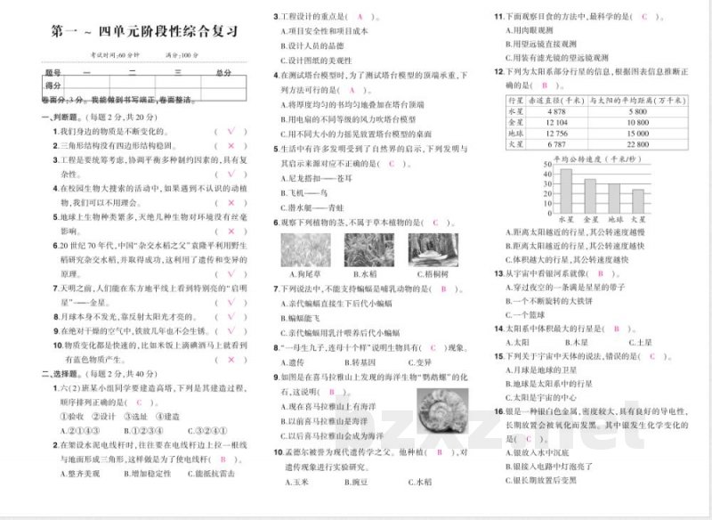 科学六年级下册（教科版）期末综合练习（含答案）