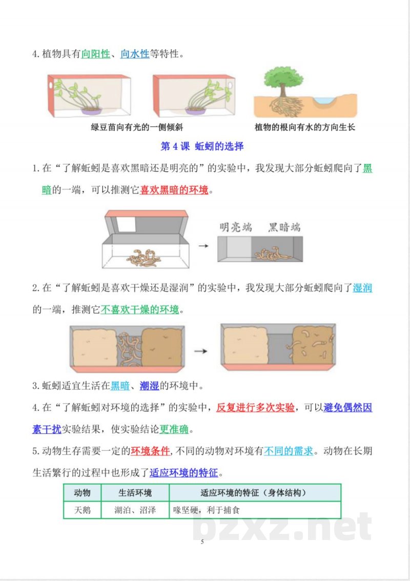 2025年新教科版五年级下册科学精编知识点