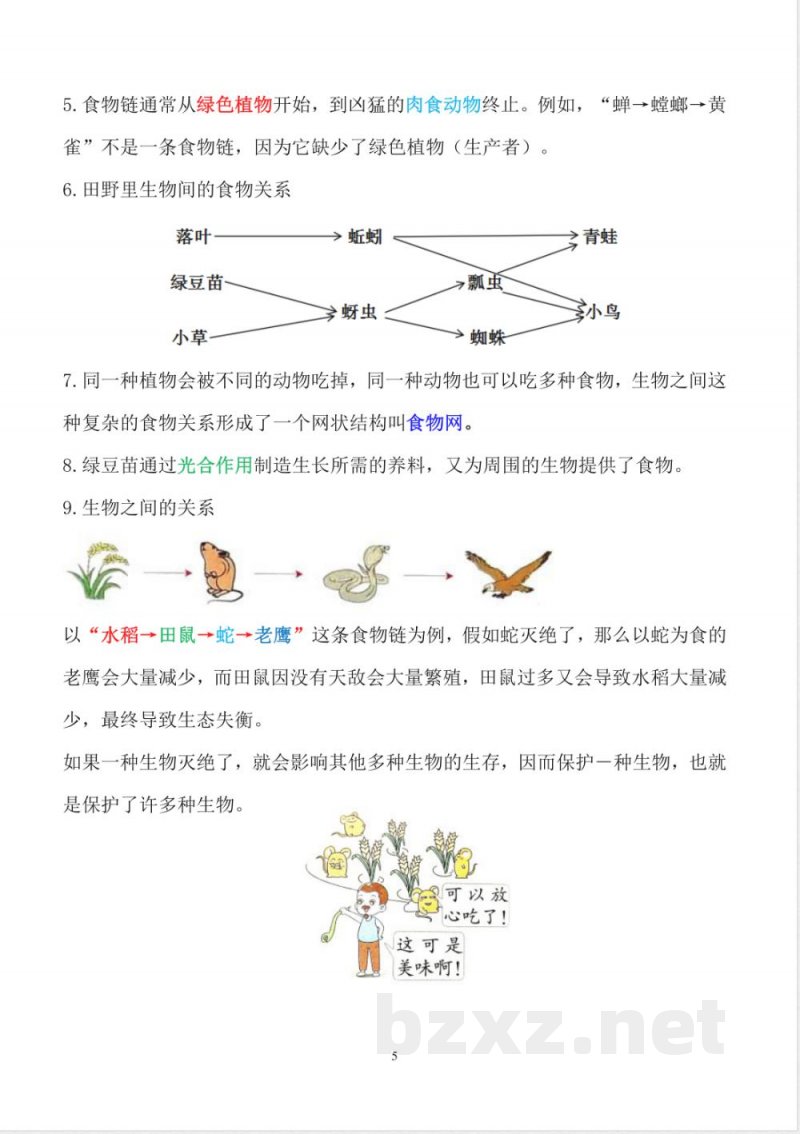 2025年新教科版五年级下册科学全册知识点