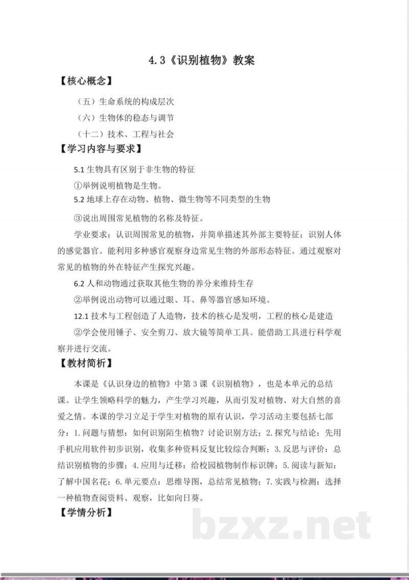 3.3 识别植物 教案 课件2025大象版科学一年级下册 3.3 识别植物 教案 课件2025大象版科学一年级下册