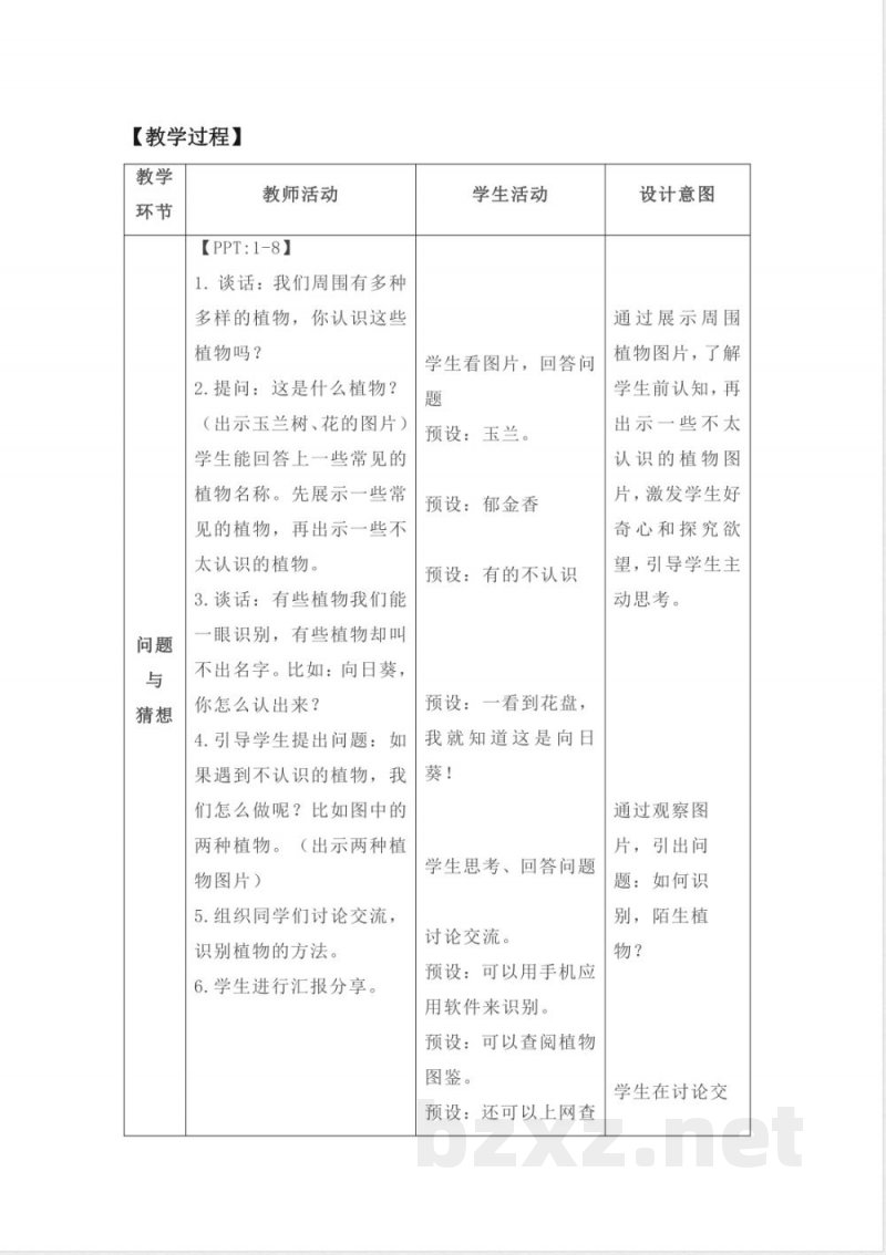 3.3 识别植物 教案 课件2025大象版科学一年级下册 3.3 识别植物 教案 课件2025大象版科学一年级下册