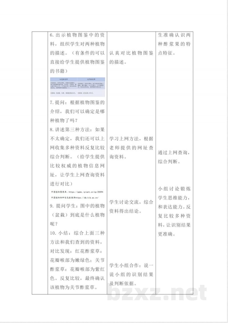 3.3 识别植物 教案 课件2025大象版科学一年级下册 3.3 识别植物 教案 课件2025大象版科学一年级下册